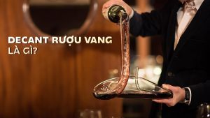 Khám phá nghệ thuật Decant rượu vang đúng chuẩn để tận hưởng trọn vẹn hương vị tinh tế