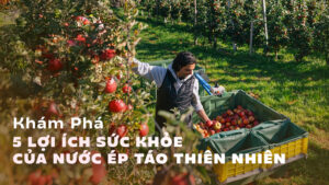 5 Lợi Ích Sức Khỏe Của Nước Ép Táo Tự Nhiên