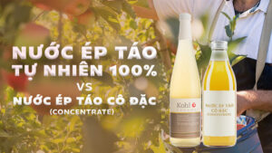 Nước Ép Táo Tự Nhiên 100% Vs Nước Ép Táo Cô Đặc (Concentrate)