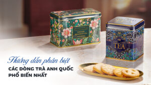 Hướng Dẫn Phân Biệt Các Dòng Trà Anh Quốc Phổ Biến Nhất