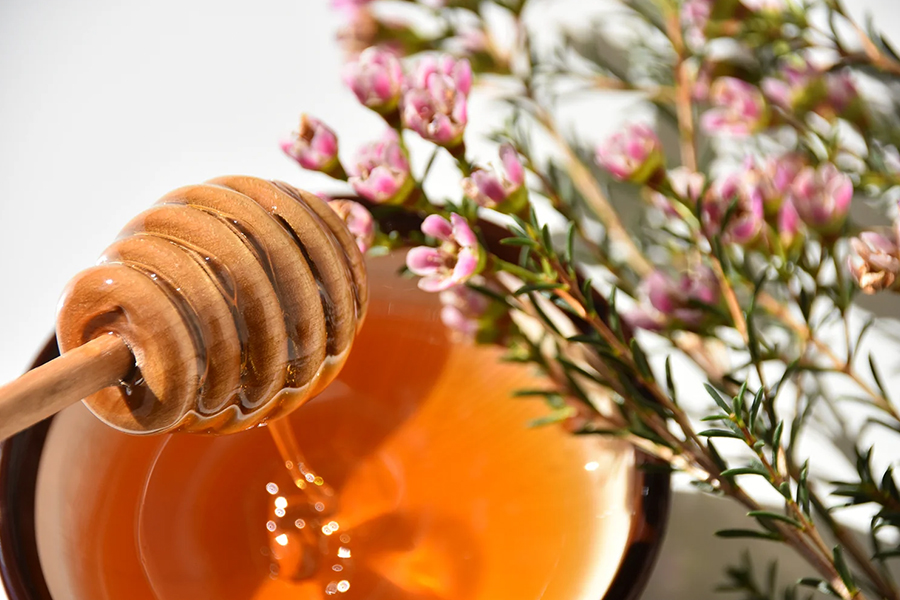 Mật ong Manuka nên dùng bao nhiêu mỗi ngày